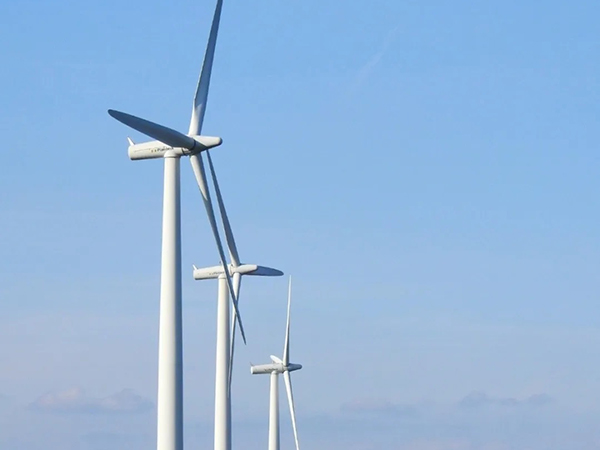 Recoyarns China Ocean Series ≡ Reshaping the New Life of the Ocean