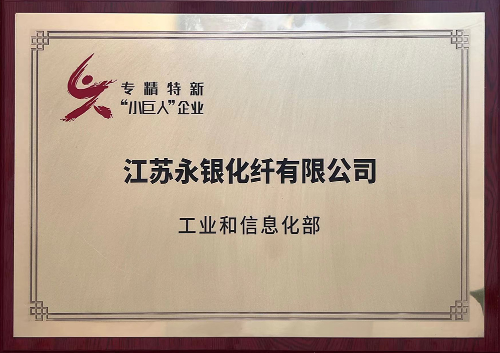 “Little Giant”Enterprise by China MIIT