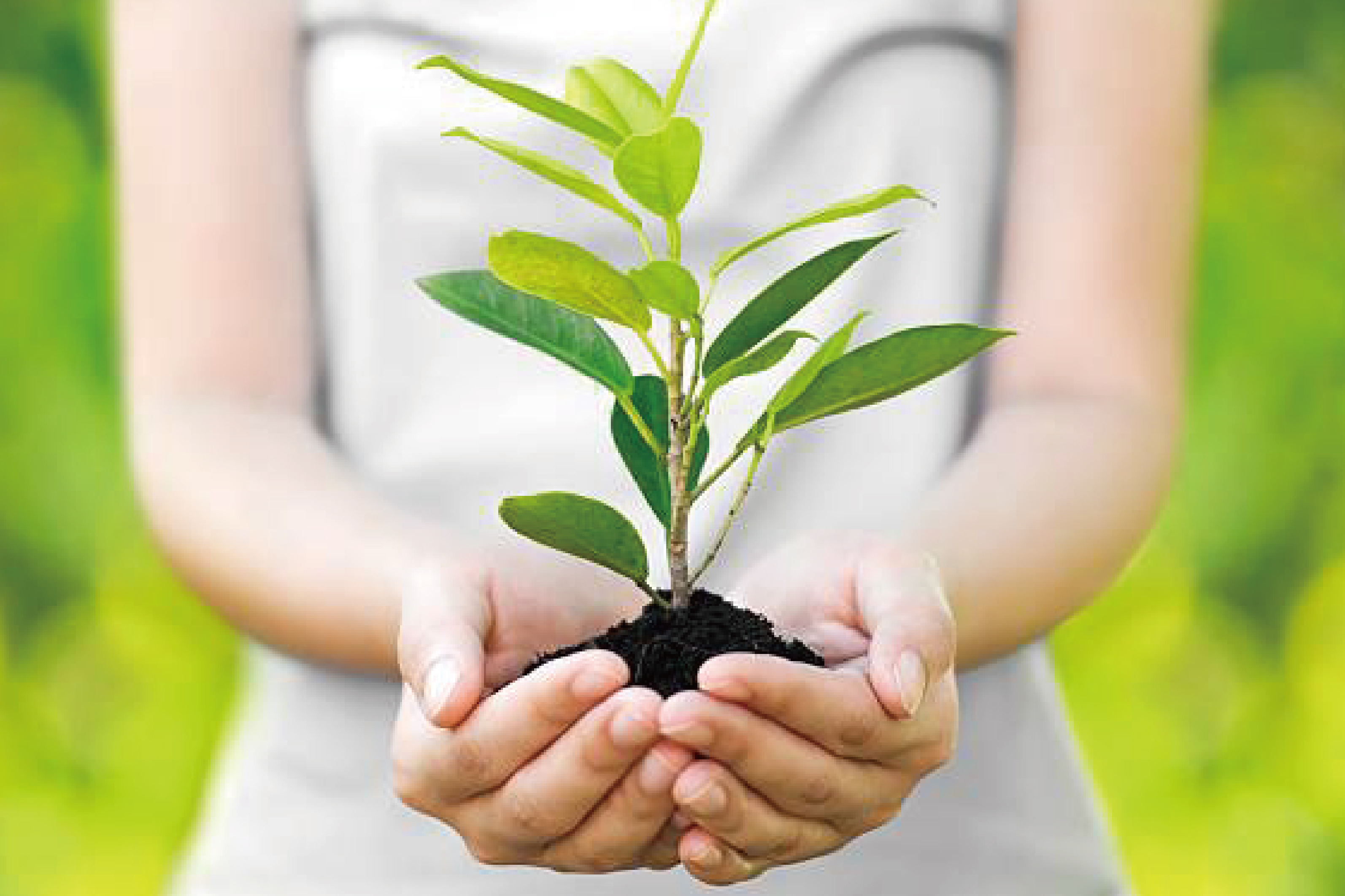 LCA生命周期評(píng)估